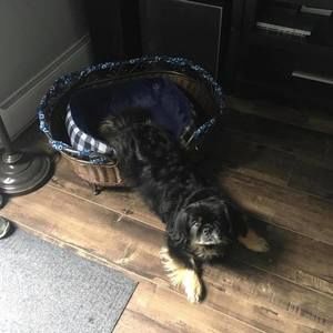 Meet your Posher, Cheryllee